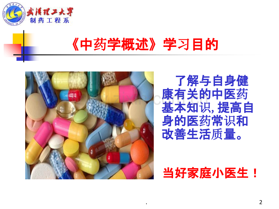 中药学概论药物的发现与分类PPT课件.ppt_第2页