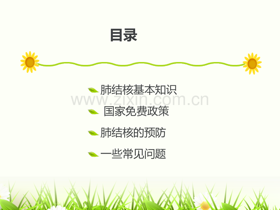 肺结核防治知识ppt课件.ppt_第2页