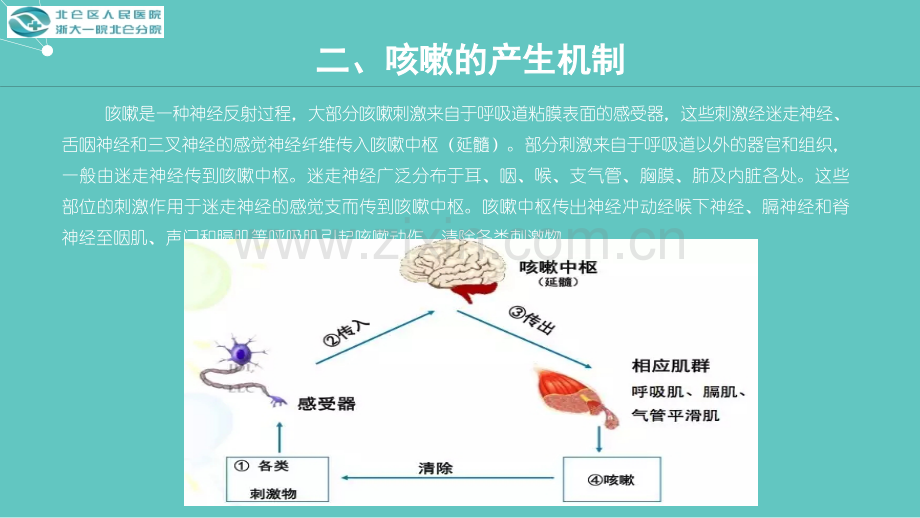 儿童慢性湿性咳嗽诊断与治疗.ppt_第3页