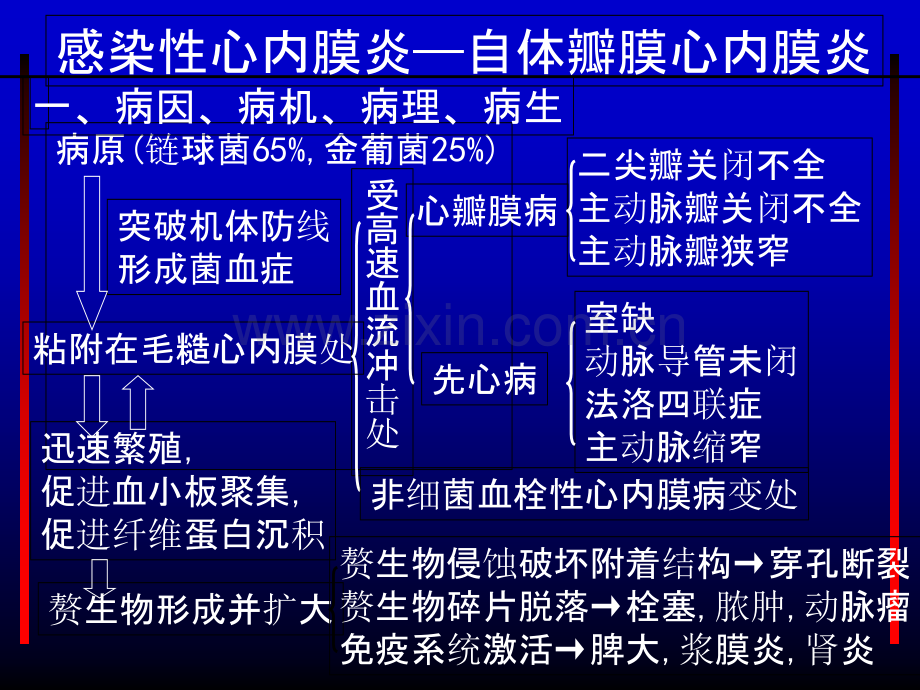 感染性心内膜炎-广医学院PPT课件.ppt_第3页