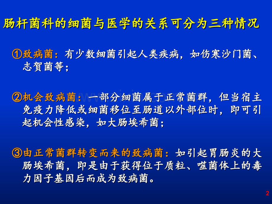 第章-肠杆菌属PPT课件.ppt_第2页