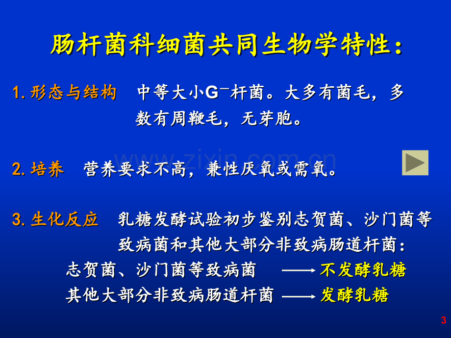 第章-肠杆菌属PPT课件.ppt_第3页