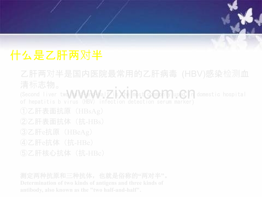 乙肝两对半的解读ppt课件.ppt_第3页