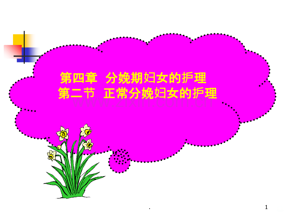 分娩期妇女的护理PPT课件.ppt_第1页