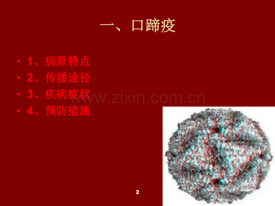 致病性病毒对食品的污染及危害PPT课件.ppt_第2页