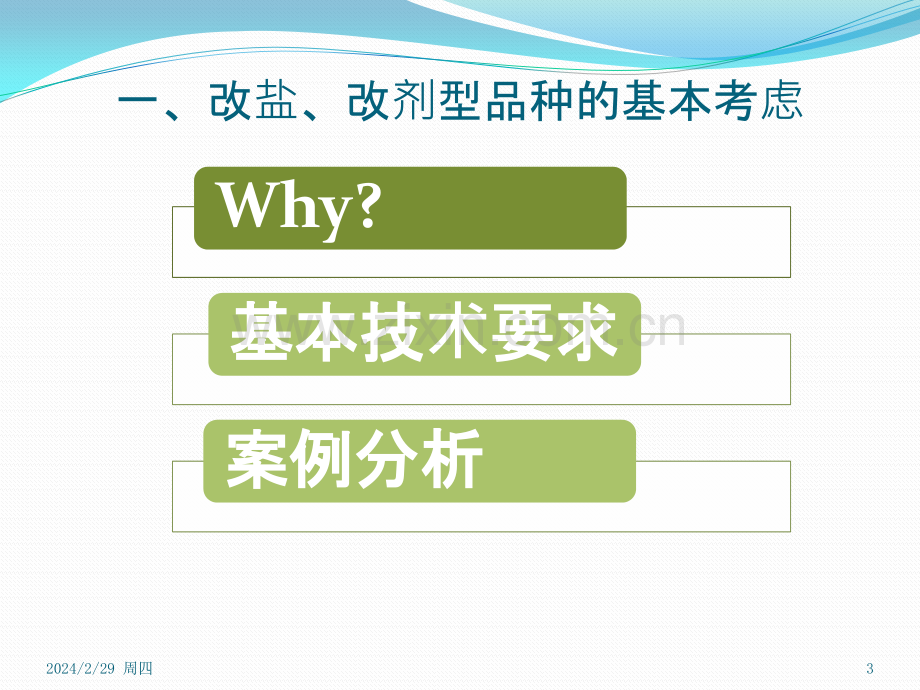 广州化药审评案例分析总结PPT课件.pptx_第3页