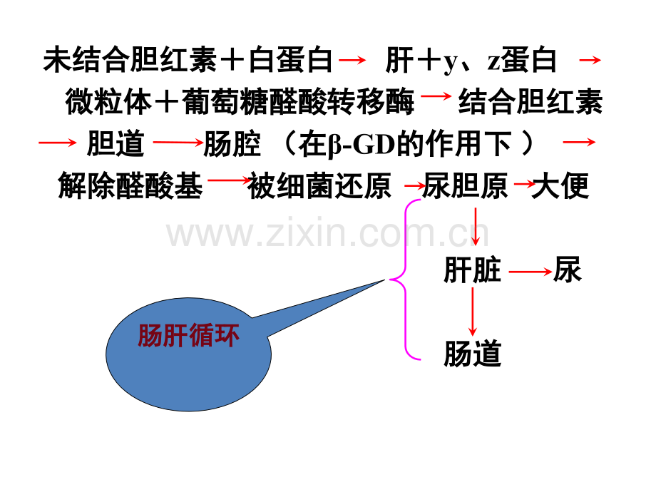 新生儿黄疸的诊断与鉴别诊断ppt课件.ppt_第3页