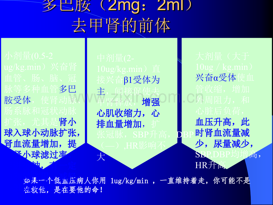 心内科常用急救药物.ppt_第3页