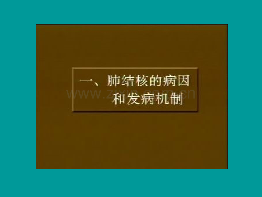 肺结核的诊断和治疗ppt课件.ppt_第3页