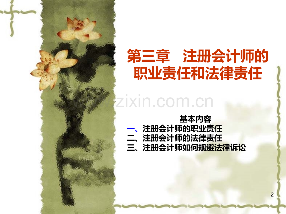 第三章职业责任和法律责任PPT课件.ppt_第2页