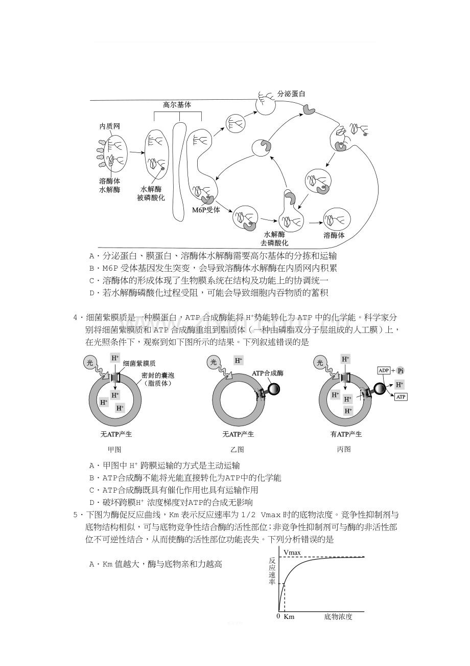 2018年西城高三期末生物卷.doc_第2页