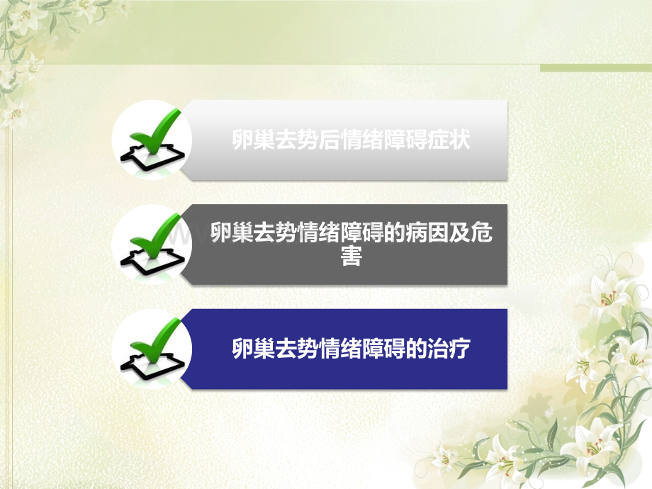 妇科肿瘤卵巢去势患者临床治疗ppt课件.ppt_第2页