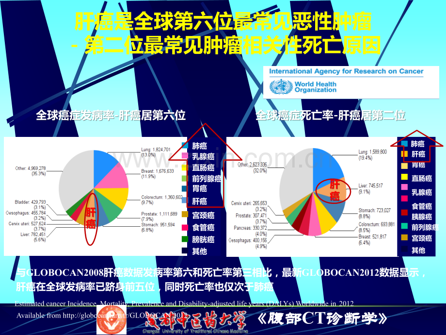 肝癌的综合治疗进展肿瘤内科ppt课件.pptx_第3页