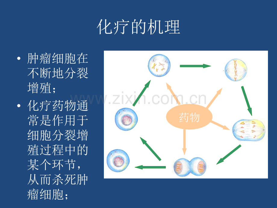 肿瘤化疗常见不良反应与处理ppt课件.ppt_第2页