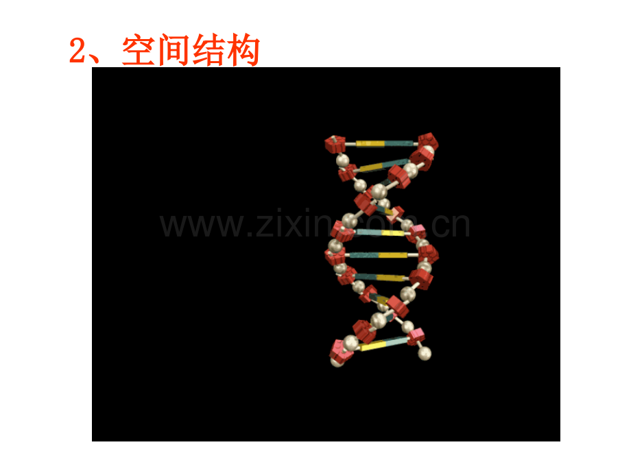 DNA分子的结构和复制公开PPT课件.ppt_第3页