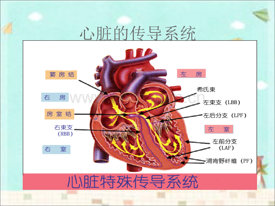 常见异常心电图的识别ppt课件.ppt_第2页