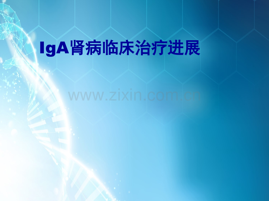 IgA肾病临床治疗新进展ppt课件.ppt_第1页