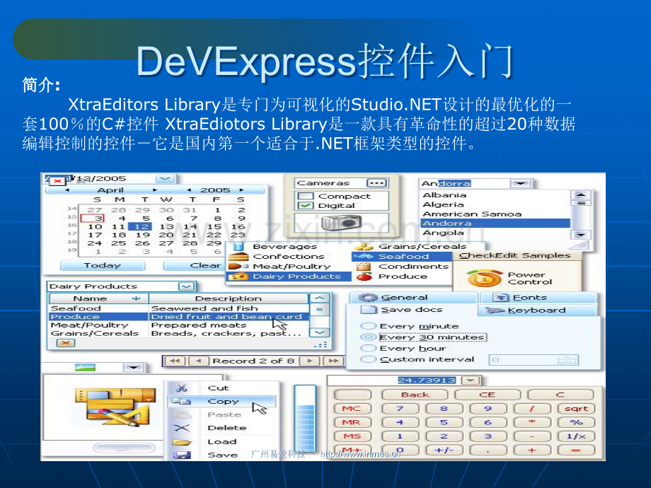 DevExpress入门教程.ppt_第1页