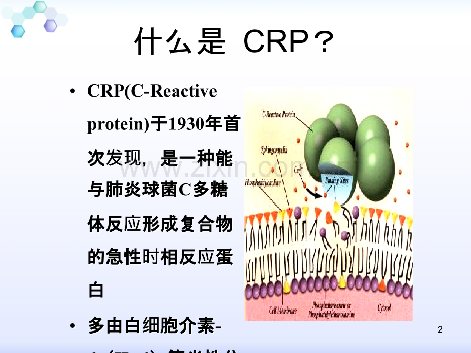 超敏CRP儿科疾病应用体会.ppt_第2页