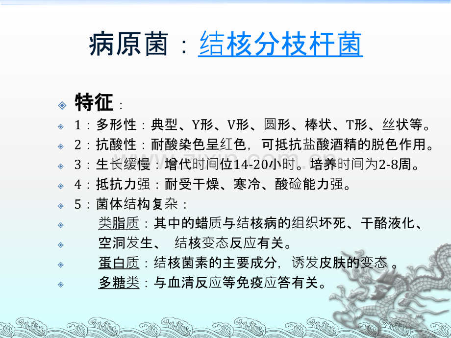 肺结核幻灯课件ppt课件.ppt_第3页