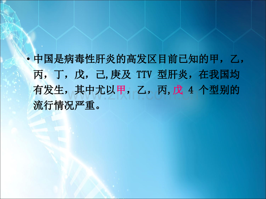 乙型肝炎病毒ppt课件.ppt_第3页