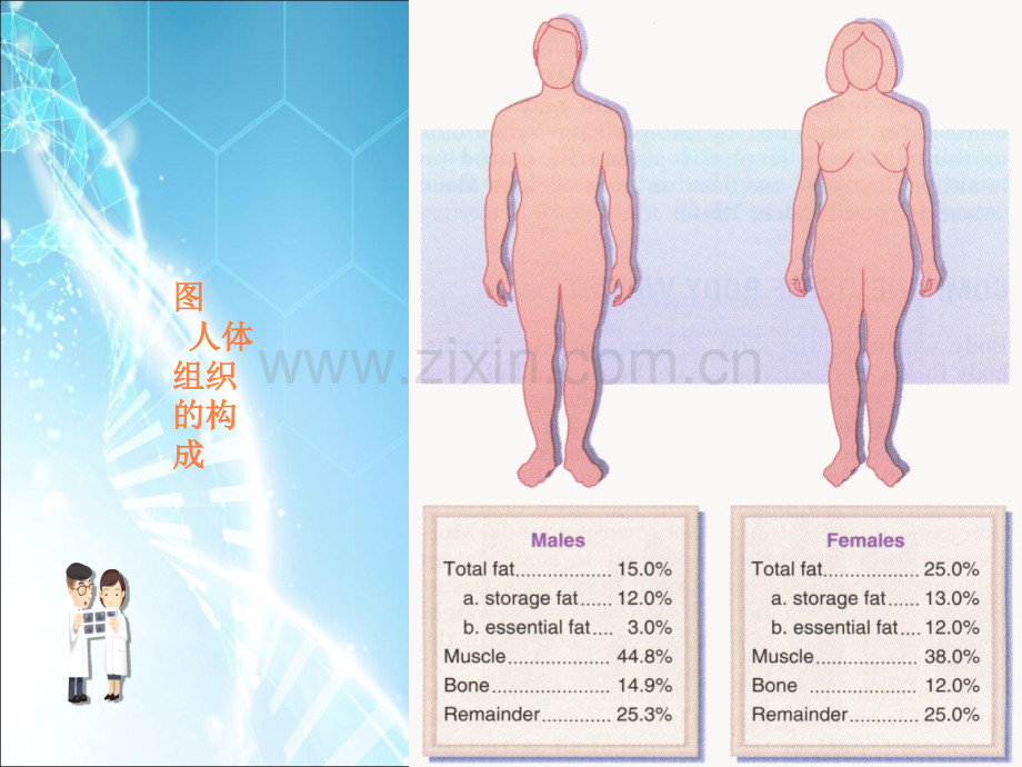 肥胖的预防和控制..ppt_第3页