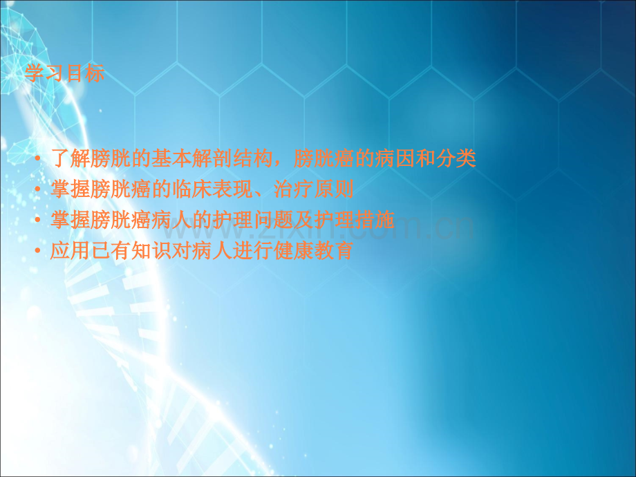 膀胱癌病人的护理ppt课件.ppt_第2页