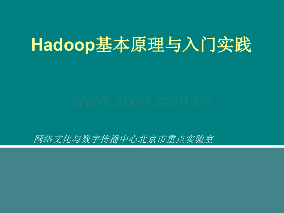 Hadoop基本原理与入门实践.ppt_第1页