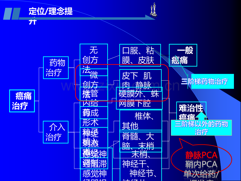 CA镇痛技术在难治性癌痛治疗中的应用ppt课件.ppt_第3页