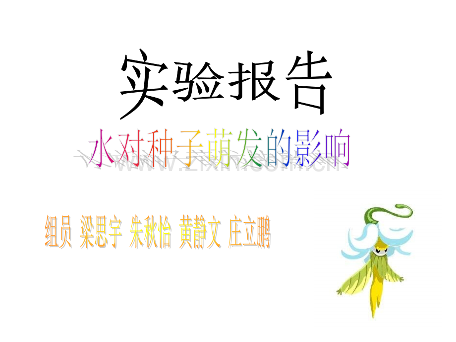 《种子发芽实验报告》PPT课件.ppt_第1页