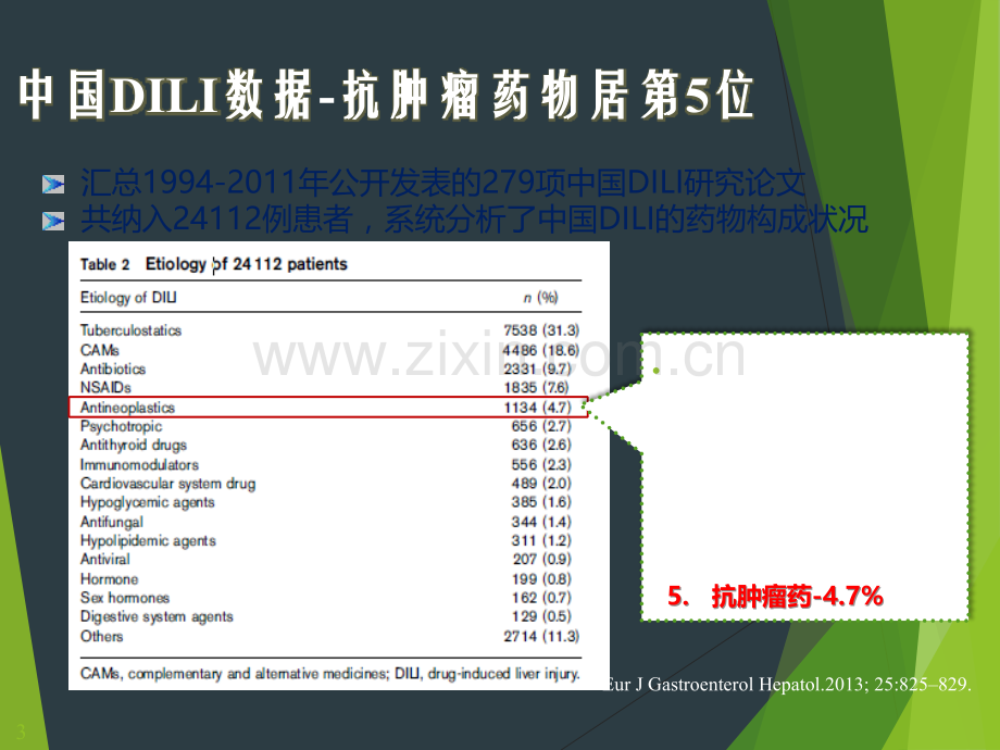 肿瘤药肝共识解读-PPT课件.pptx_第3页