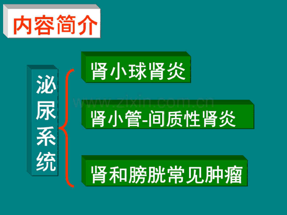 病理学-第9章-泌尿系统疾病1.ppt_第2页