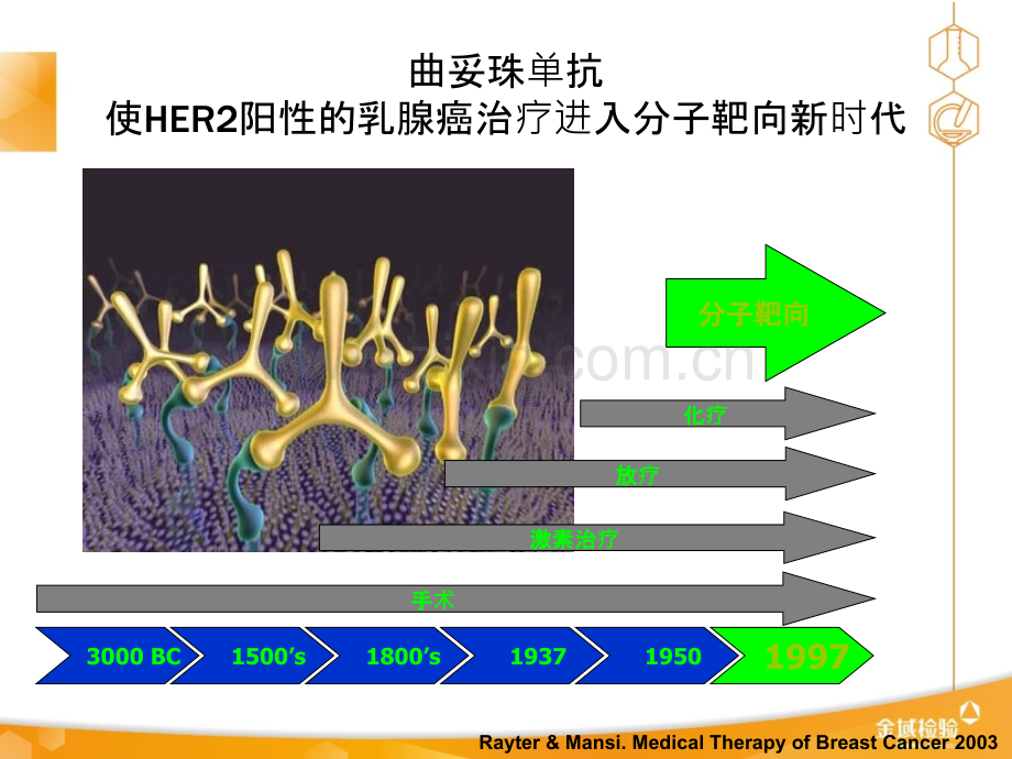 HER阳性乳腺癌诊疗专家共识ppt课件.ppt_第2页