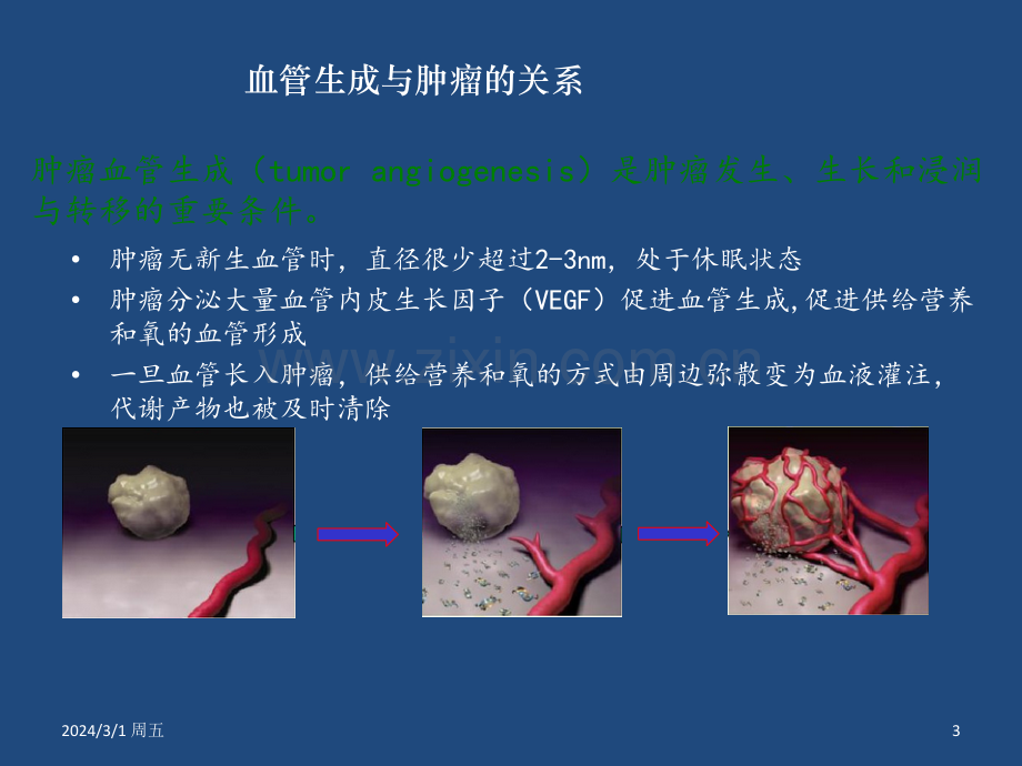 肿瘤抗血管生成治疗耐药机制.ppt_第3页