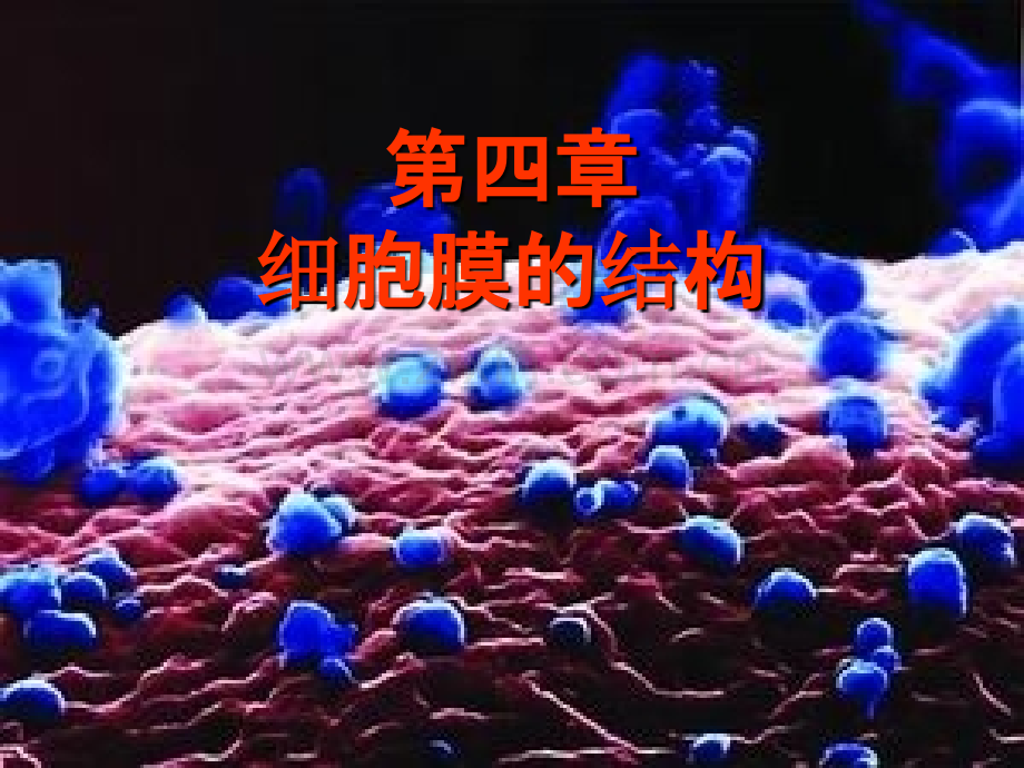 第四章-细胞膜的结构.ppt_第1页