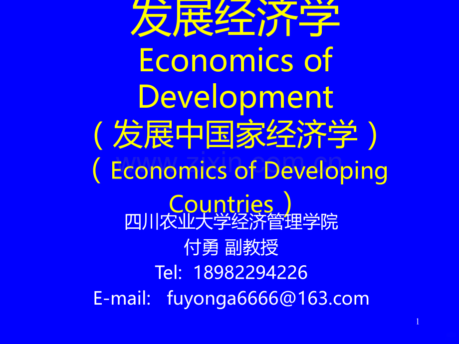 发展经济学1.ppt_第1页