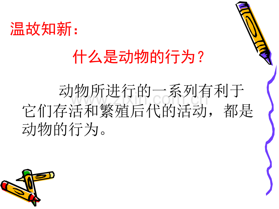 动物先天性行为.ppt_第2页