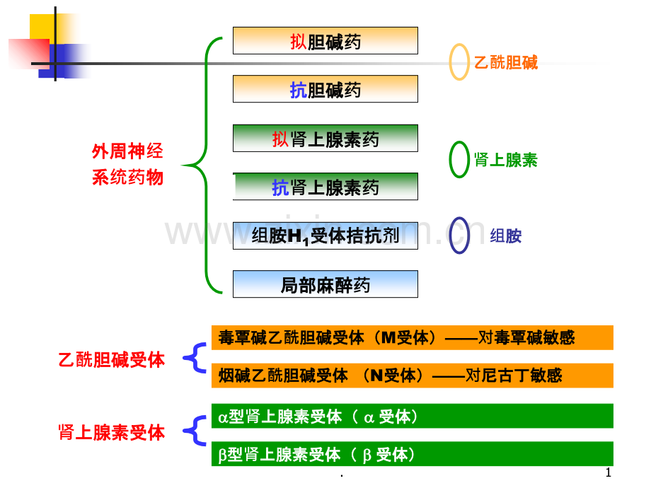 章外周神经药物PPT课件.ppt_第1页