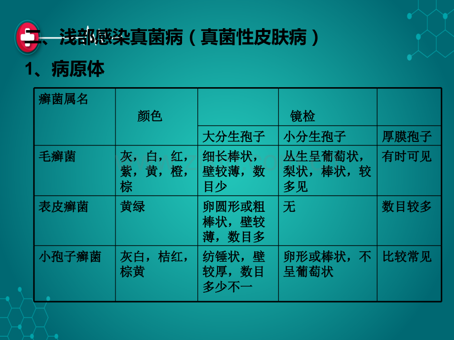 真菌性感染疾病课稿.ppt_第3页