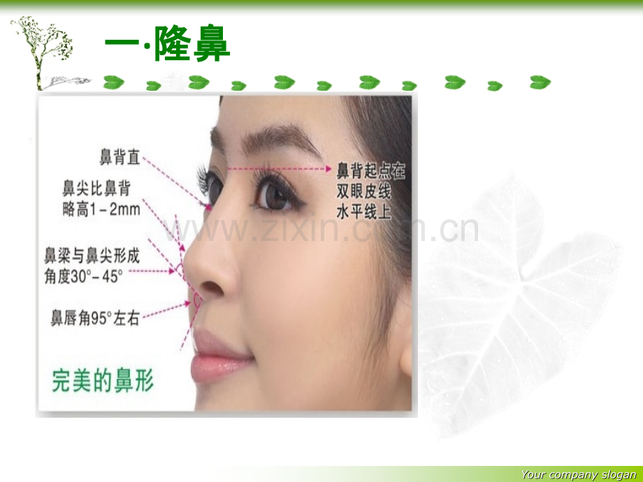 整形培训课件.ppt_第3页