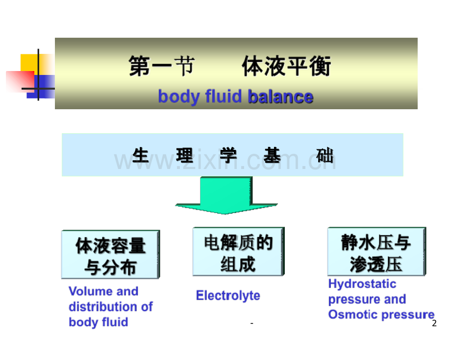 电解质代谢PPT课件.ppt_第2页