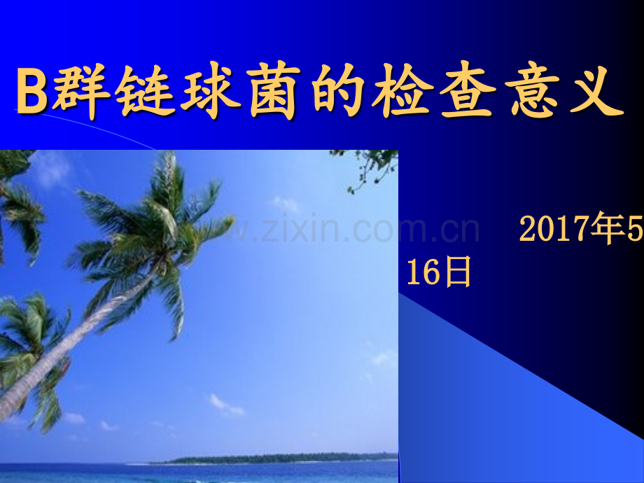 B群链球菌课件幻灯片ppt课件.pptx_第1页