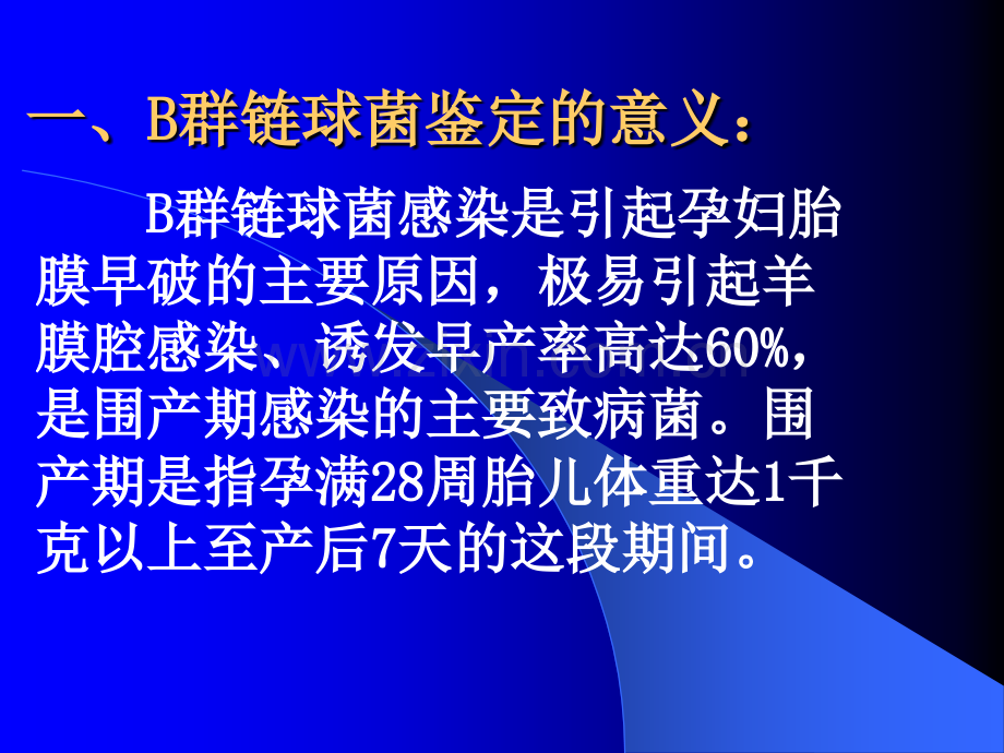 B群链球菌课件幻灯片ppt课件.pptx_第2页