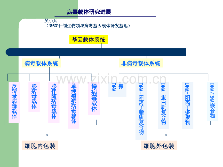 病毒载体概述.ppt_第1页