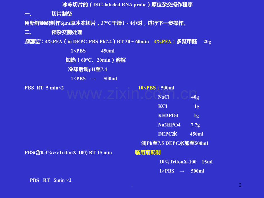 原位杂交操作流程PPT课件.ppt_第2页