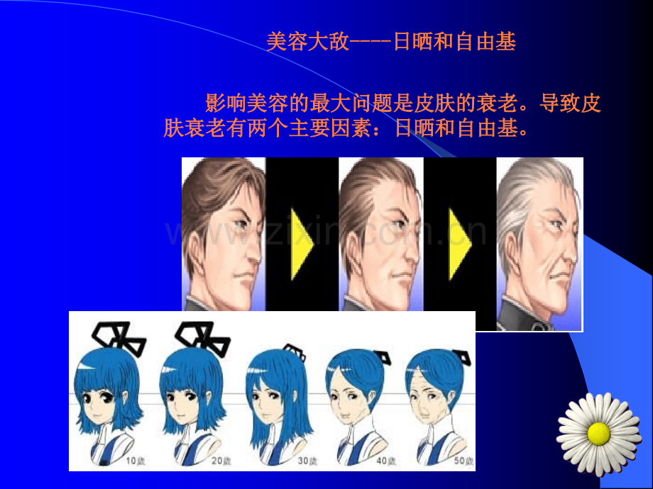 常用美容药物ppt课件.ppt_第3页