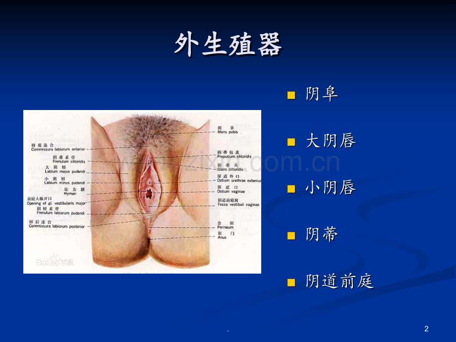 妇科炎症健康教育PPT课件.ppt_第2页