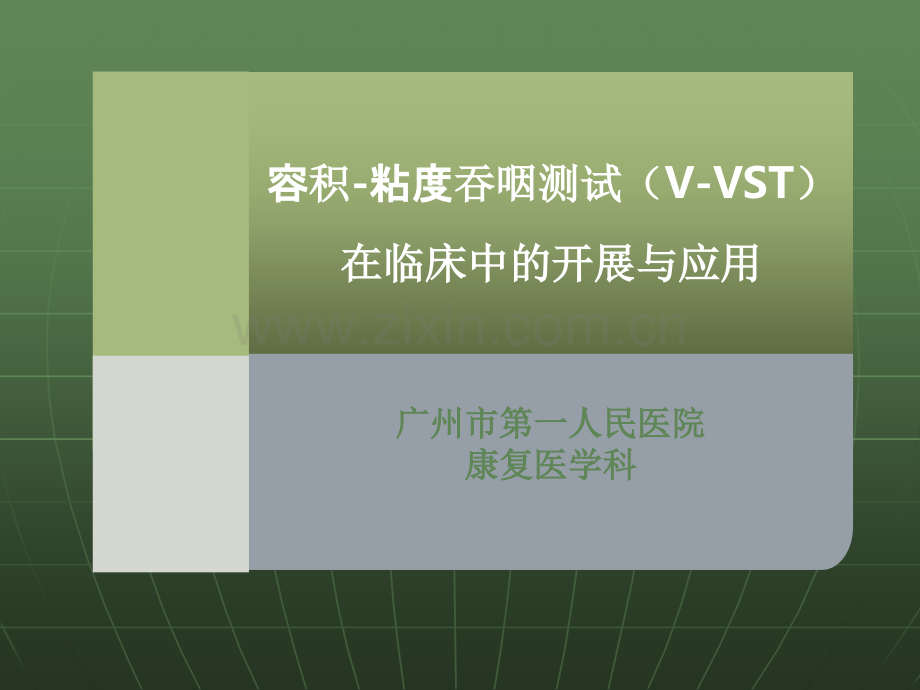 VVST评估的开展及应用.ppt_第1页