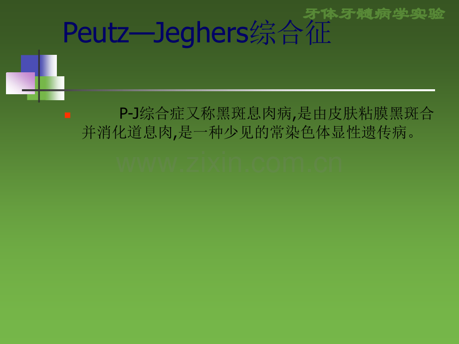 PJ综合征.ppt_第2页