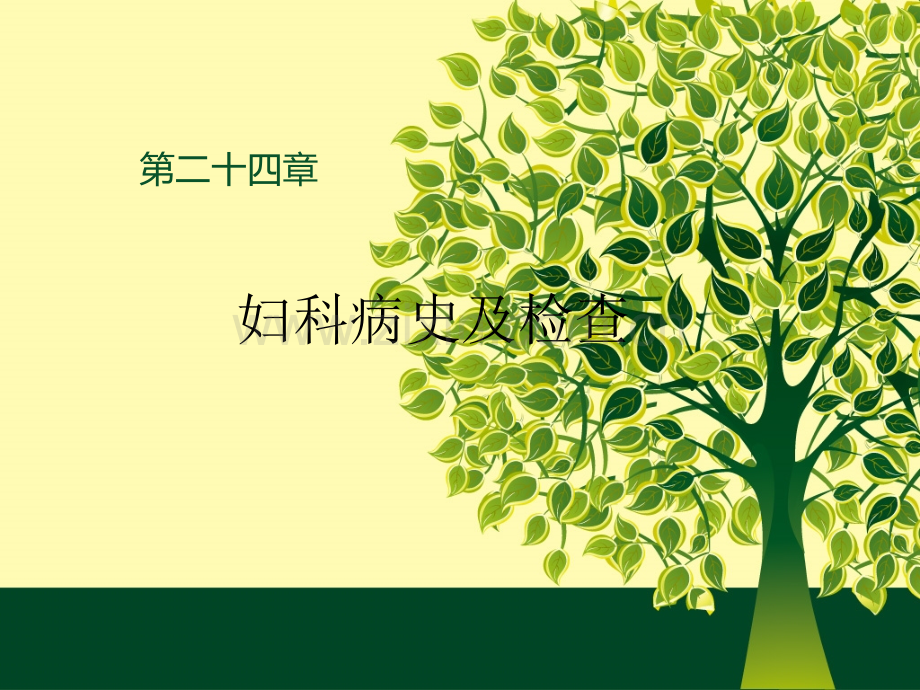 妇科病史及检查.ppt_第1页